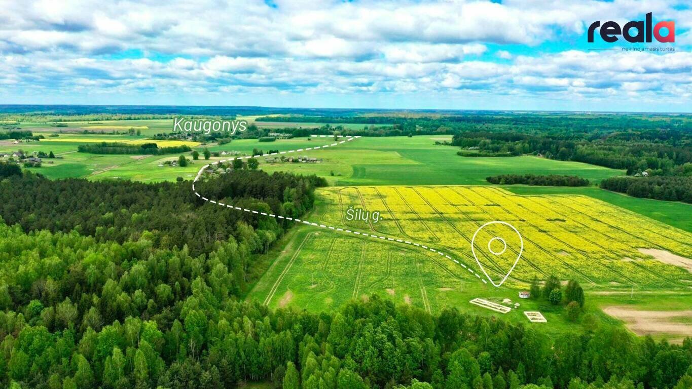 Sklypas Kaišiadorių rajono sav., Kaugonyse – nuotrauka 3
