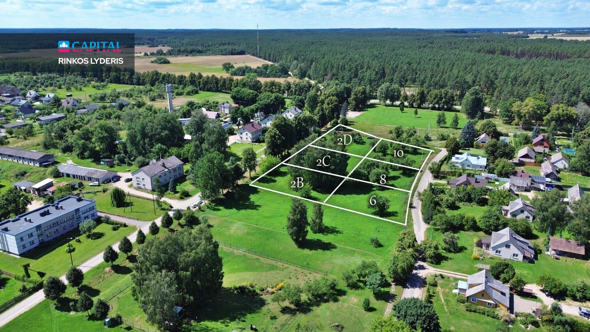Sklypas Varėnos rajono sav., Perlojoje – nuotrauka 3