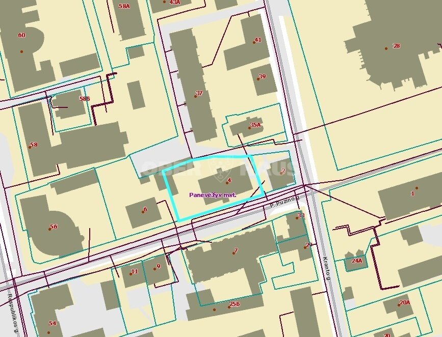 Sklypas Panevėžyje, Centre, P. Puzino g. – nuotrauka 4