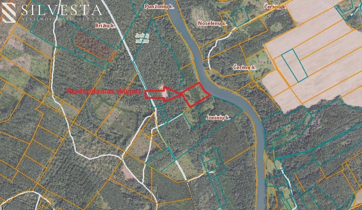 Sklypas Vilniaus rajono sav., Joninėse – nuotrauka 1