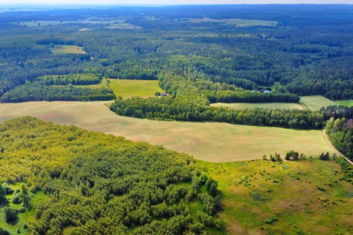 Sklypas Trakų rajono sav., Vytautavoje – nuotrauka 6