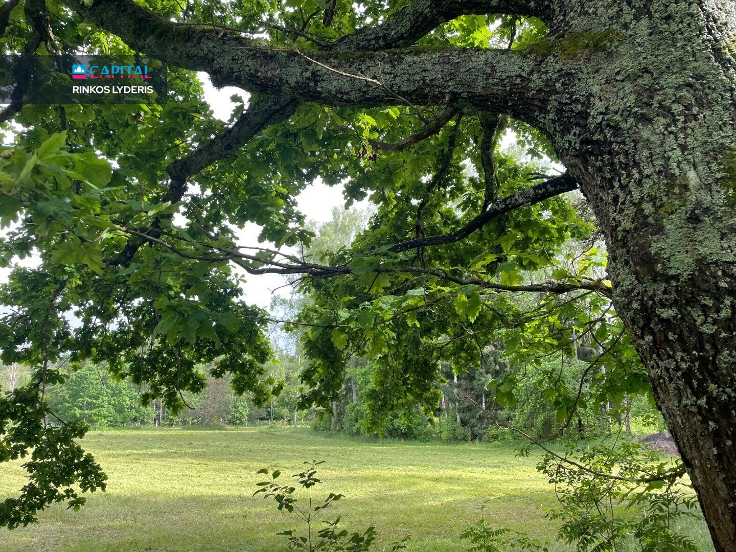Sklypas Vilniaus rajono sav., Tuščiauliuose – nuotrauka 3
