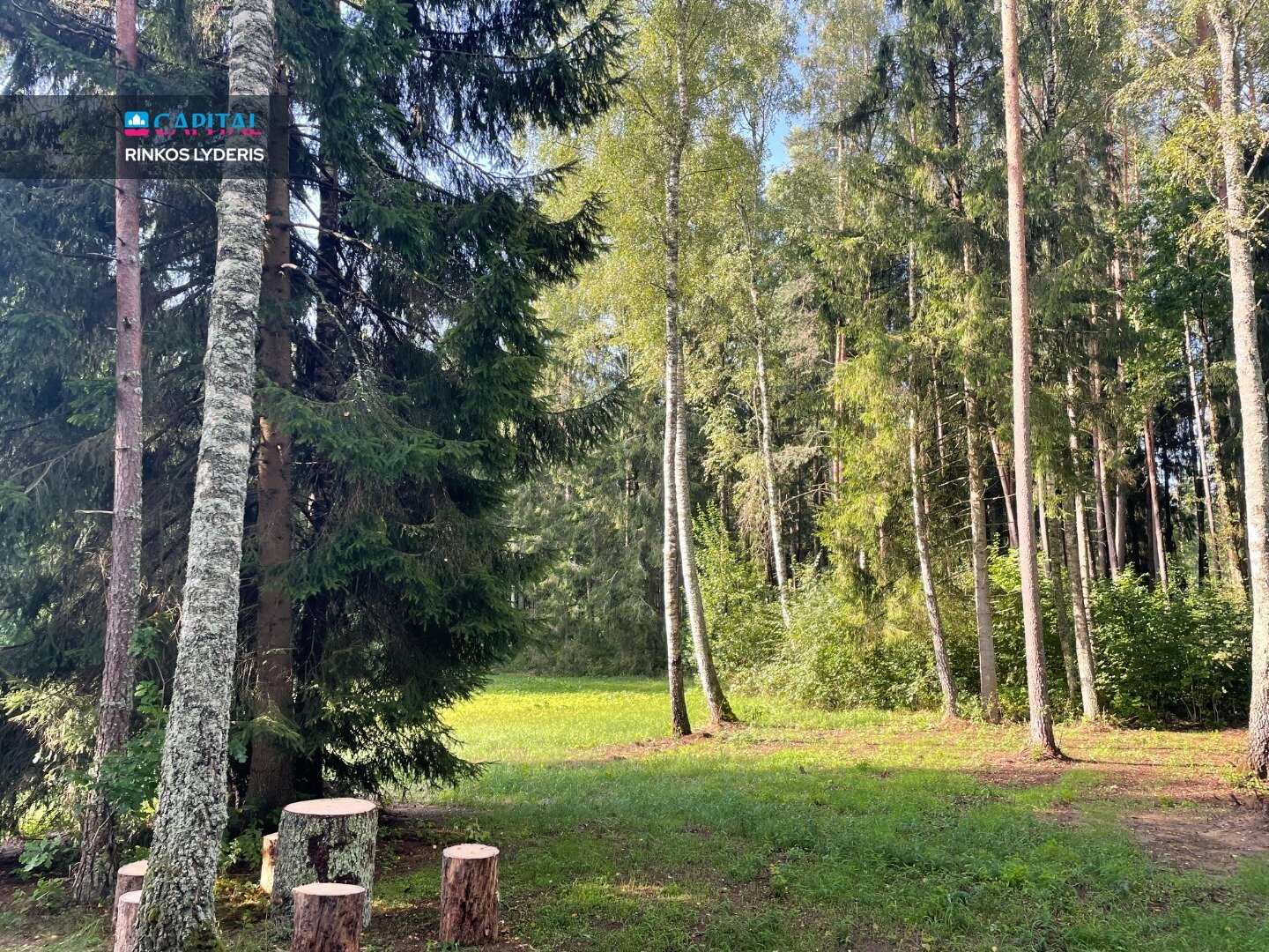 Sklypas Vilniaus rajono sav., Tuščiauliuose – nuotrauka 4