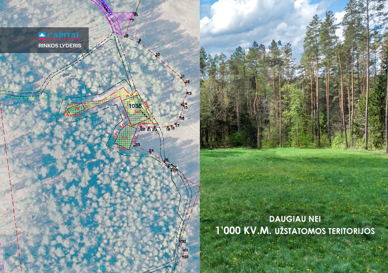 Sklypas Vilniaus rajono sav., Tuščiauliuose – nuotrauka 5