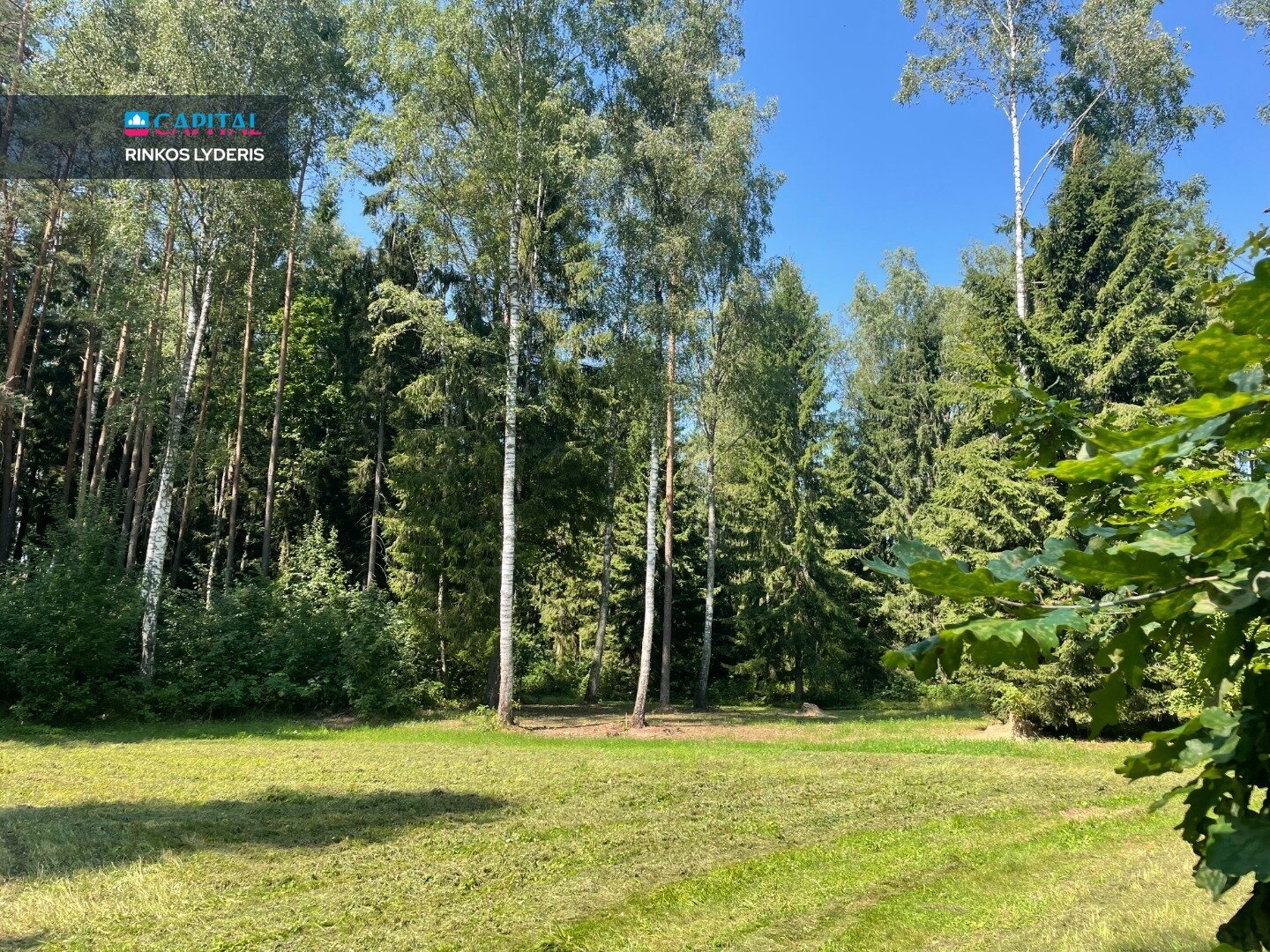 Sklypas Vilniaus rajono sav., Tuščiauliuose – nuotrauka 6