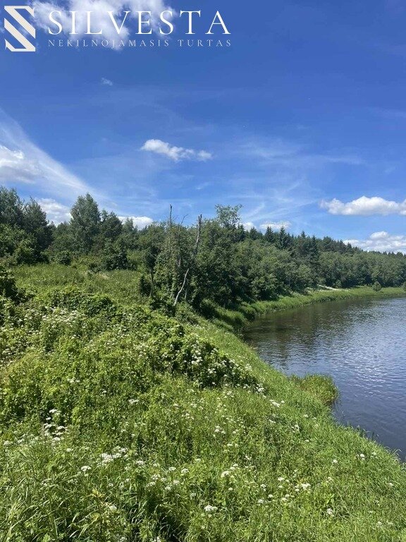 Sklypas Vilniaus r. sav., Joninėse – nuotrauka 3