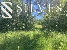 Sklypas Vilniaus r. sav., Joninėse – nuotrauka 5