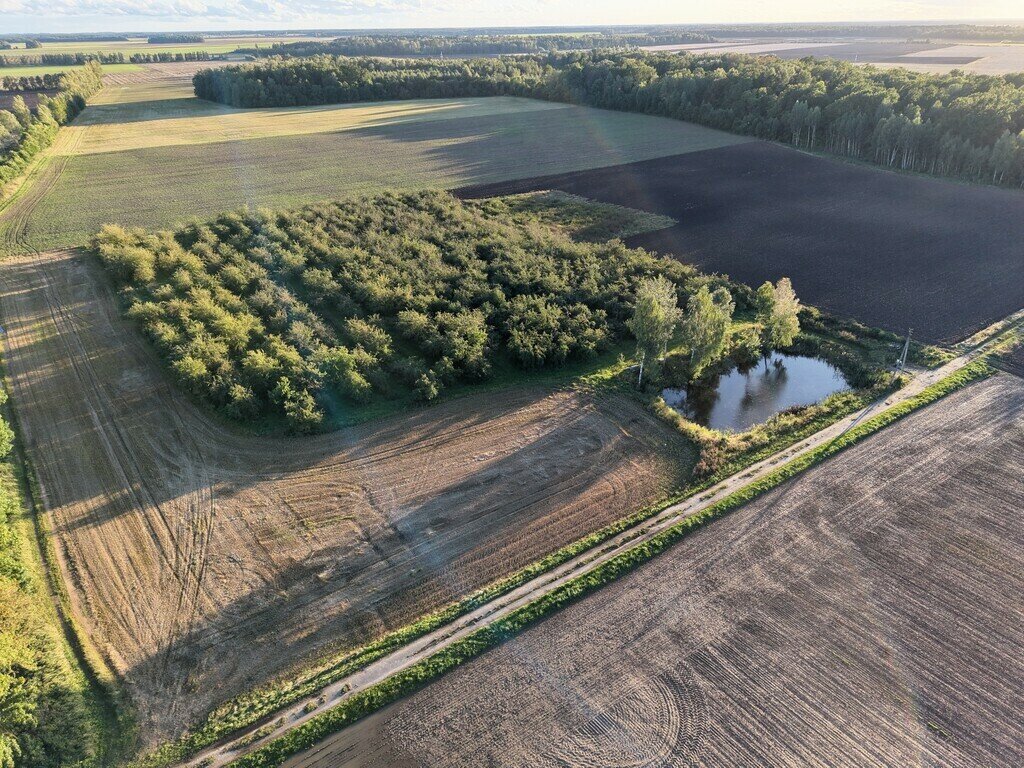 Sklypas Jonavos rajono sav., Kuigaliuose – nuotrauka 1