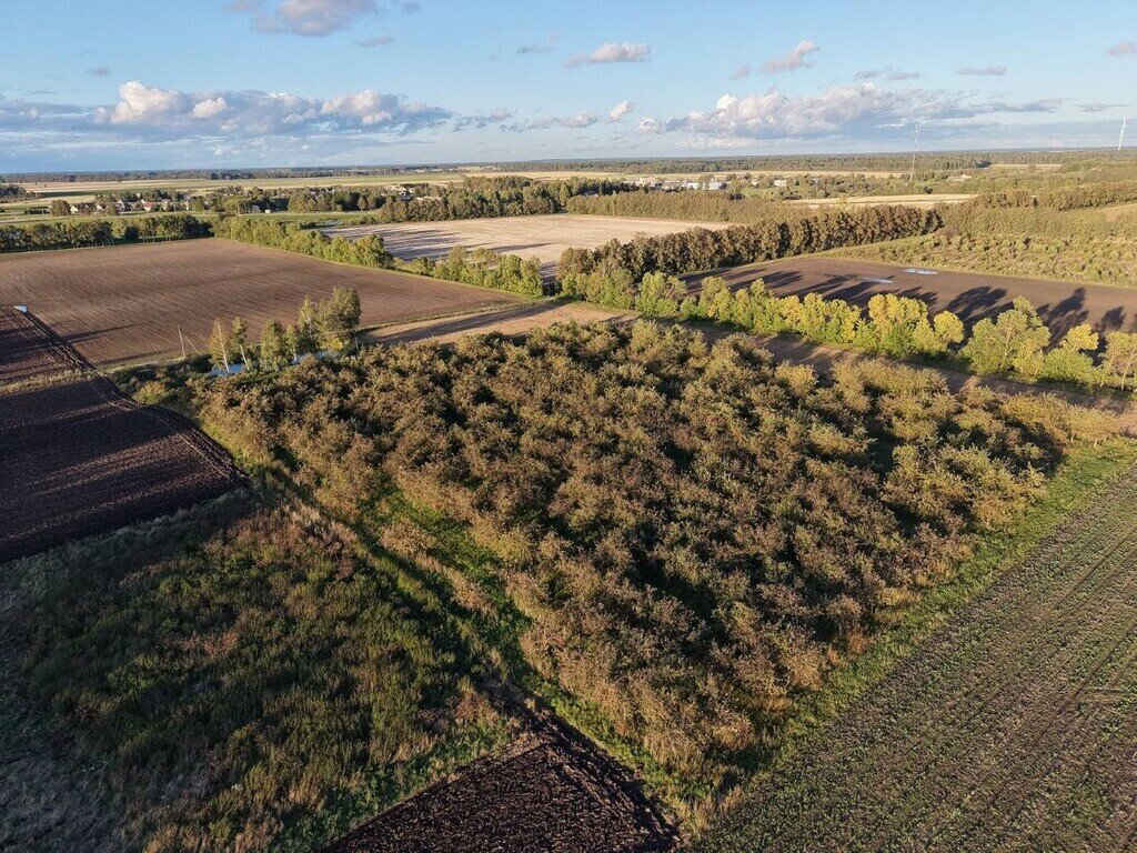 Sklypas Jonavos rajono sav., Kuigaliuose – nuotrauka 4