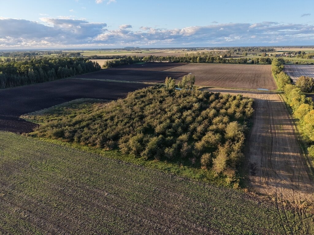 Sklypas Jonavos rajono sav., Kuigaliuose – nuotrauka 6