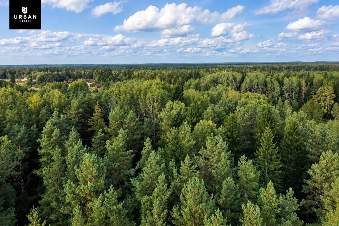 Sklypas Vilniaus rajono sav., Linkos – nuotrauka 5