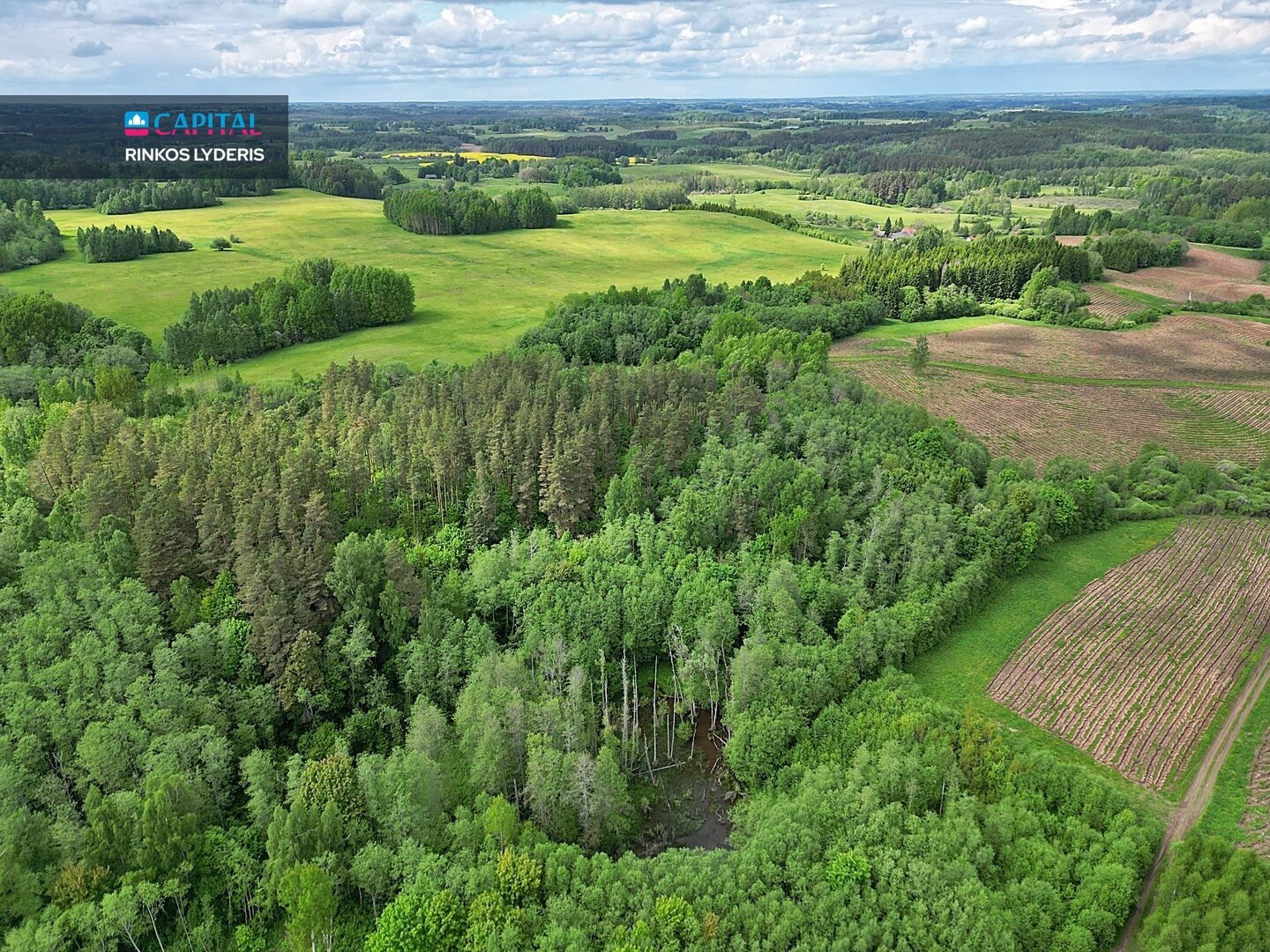Sklypas Zarasų rajono sav., Antadavainėje – nuotrauka 4