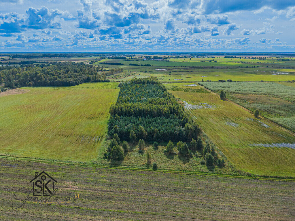 Sklypas Šilutės rajono sav., Petreliuose – nuotrauka 3