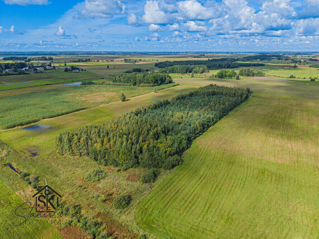 Sklypas Šilutės rajono sav., Petreliuose – nuotrauka 5