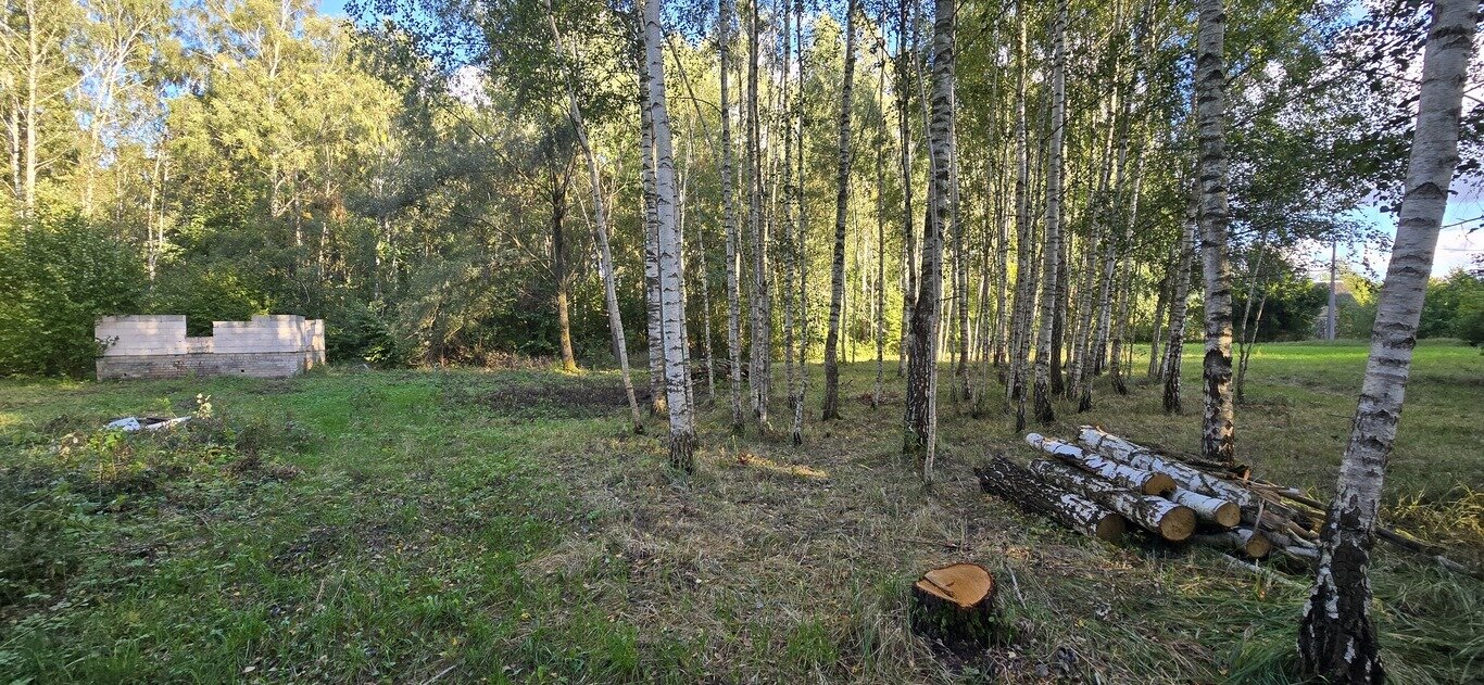 Участок Kėdainių r. sav., Daumantuose – изображение 4