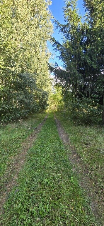 Участок Kėdainių r. sav., Daumantuose – изображение 6