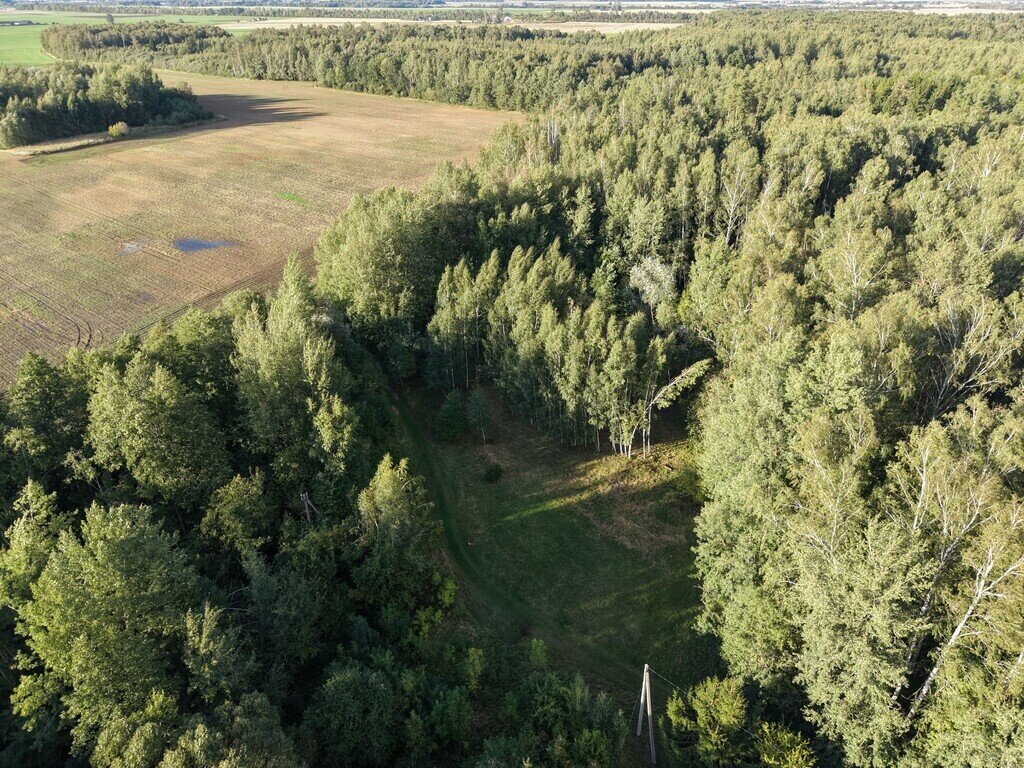 Sklypas Kėdainių rajono sav., Daumantuose – nuotrauka 1