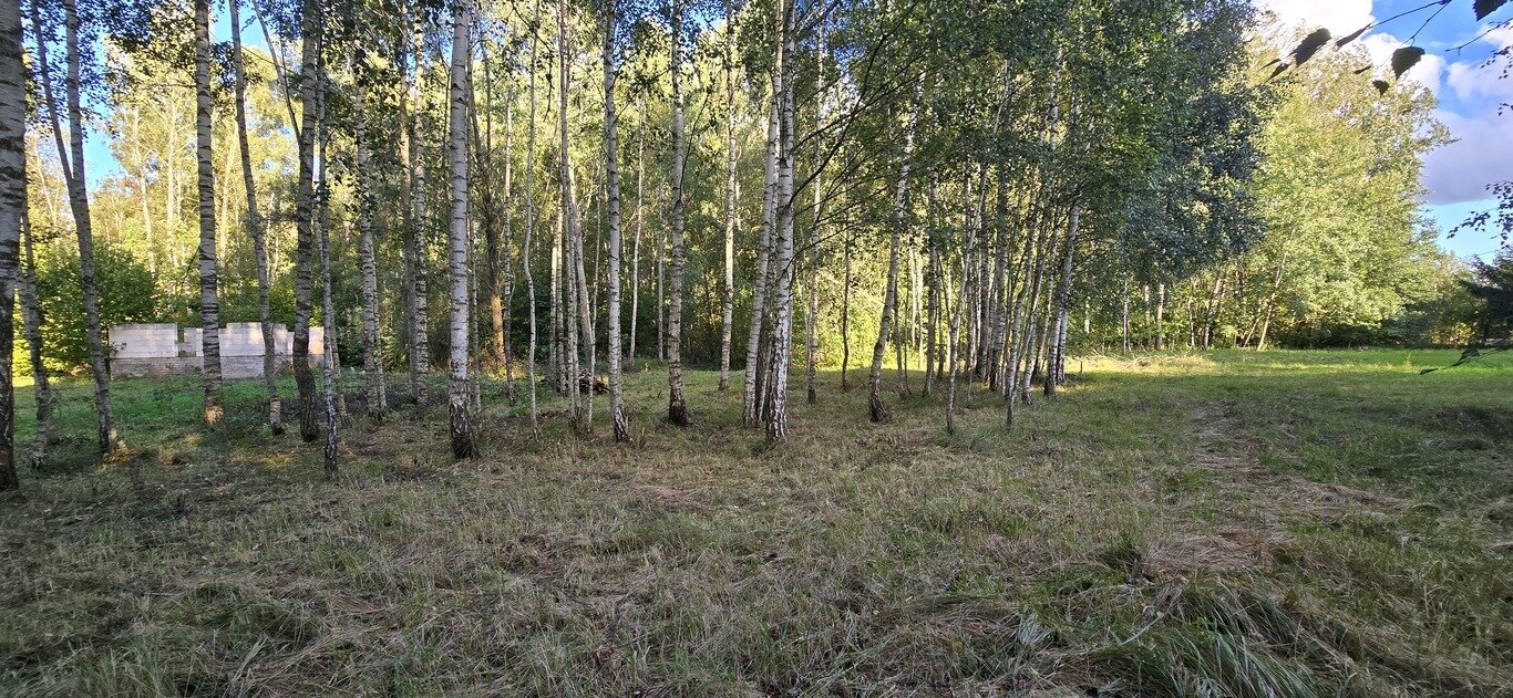 Sklypas Kėdainių rajono sav., Daumantuose – nuotrauka 5