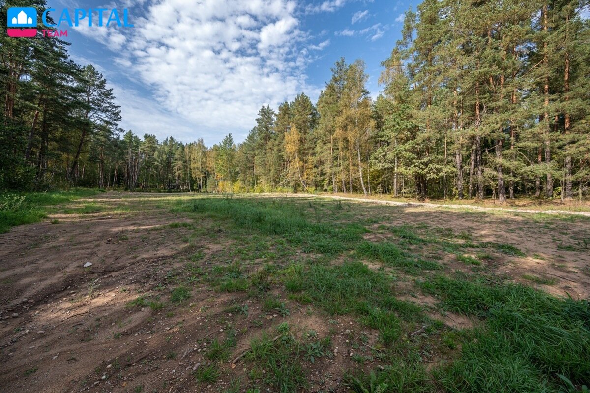 Sklypas Molėtų rajono sav., Antamalkėstėje – nuotrauka 5