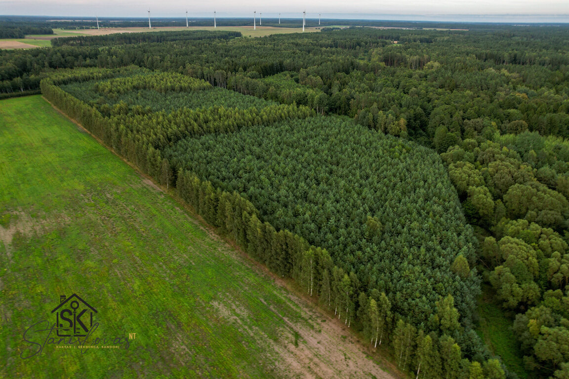Sklypas Šilutės rajono sav., Grabupėliuose – nuotrauka 1