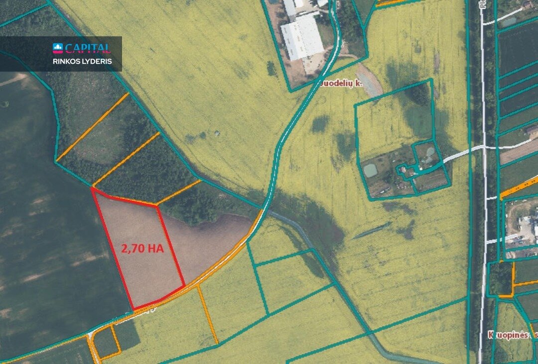 Sklypas Širvintų r. sav., Juodeliuose – nuotrauka 6