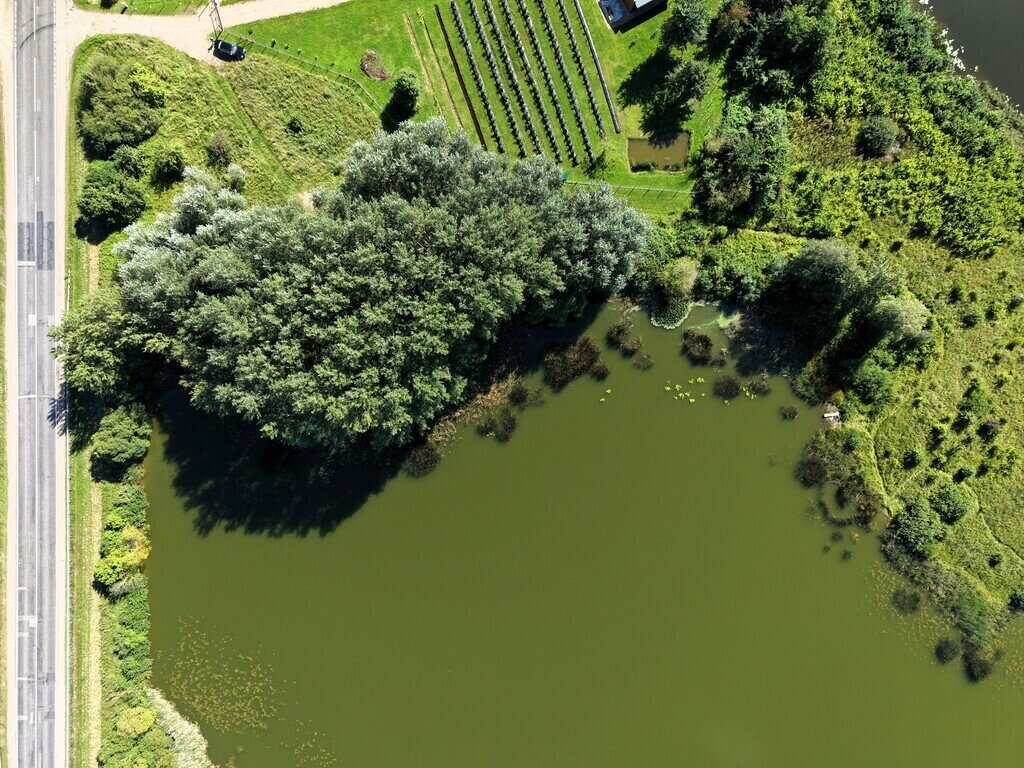 Sklypas Kėdainių r. sav., Koliupėje – nuotrauka 5