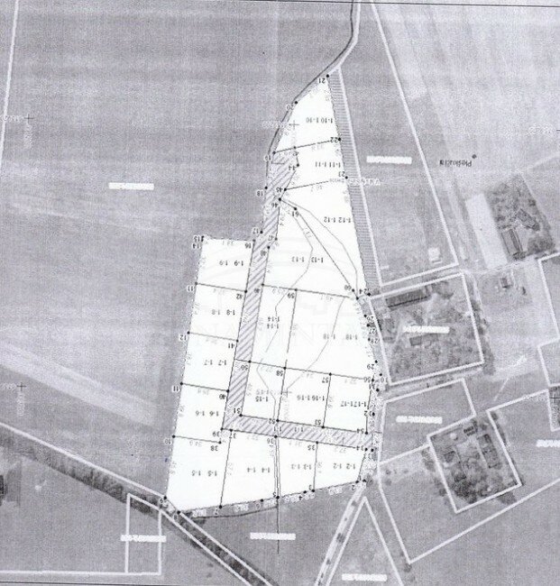 Sklypas Klaipėdos r. sav., Pleškučiuose – nuotrauka 5