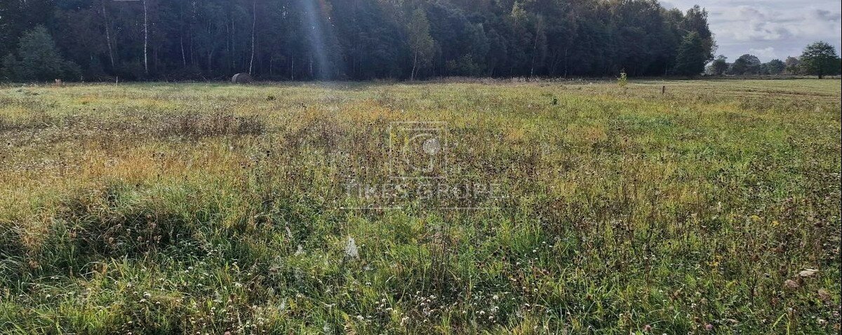 Sklypas Klaipėdos r. sav., Margiuose – nuotrauka 4