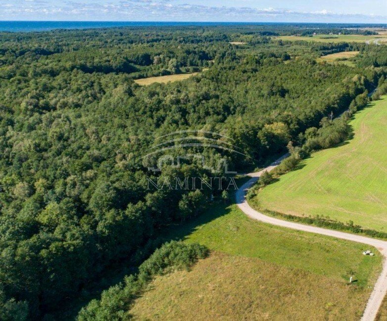 Sklypas Klaipėdos r. sav., Bruzdeilyne – nuotrauka 4