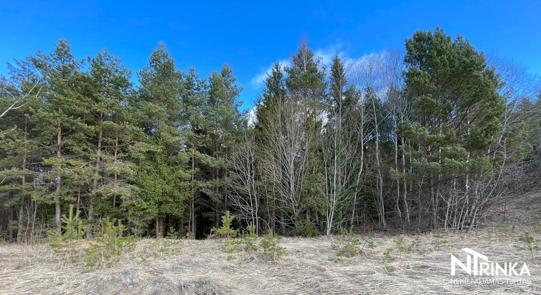 Sklypas Šiaulių r. sav., Bubiuose, Gervėnų g. – nuotrauka 3