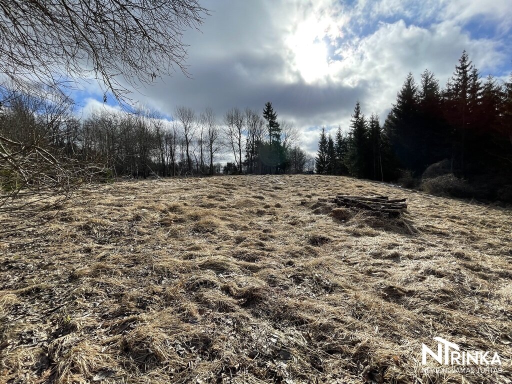 Sklypas Šiaulių r. sav., Bubiuose, Gervėnų g. – nuotrauka 5
