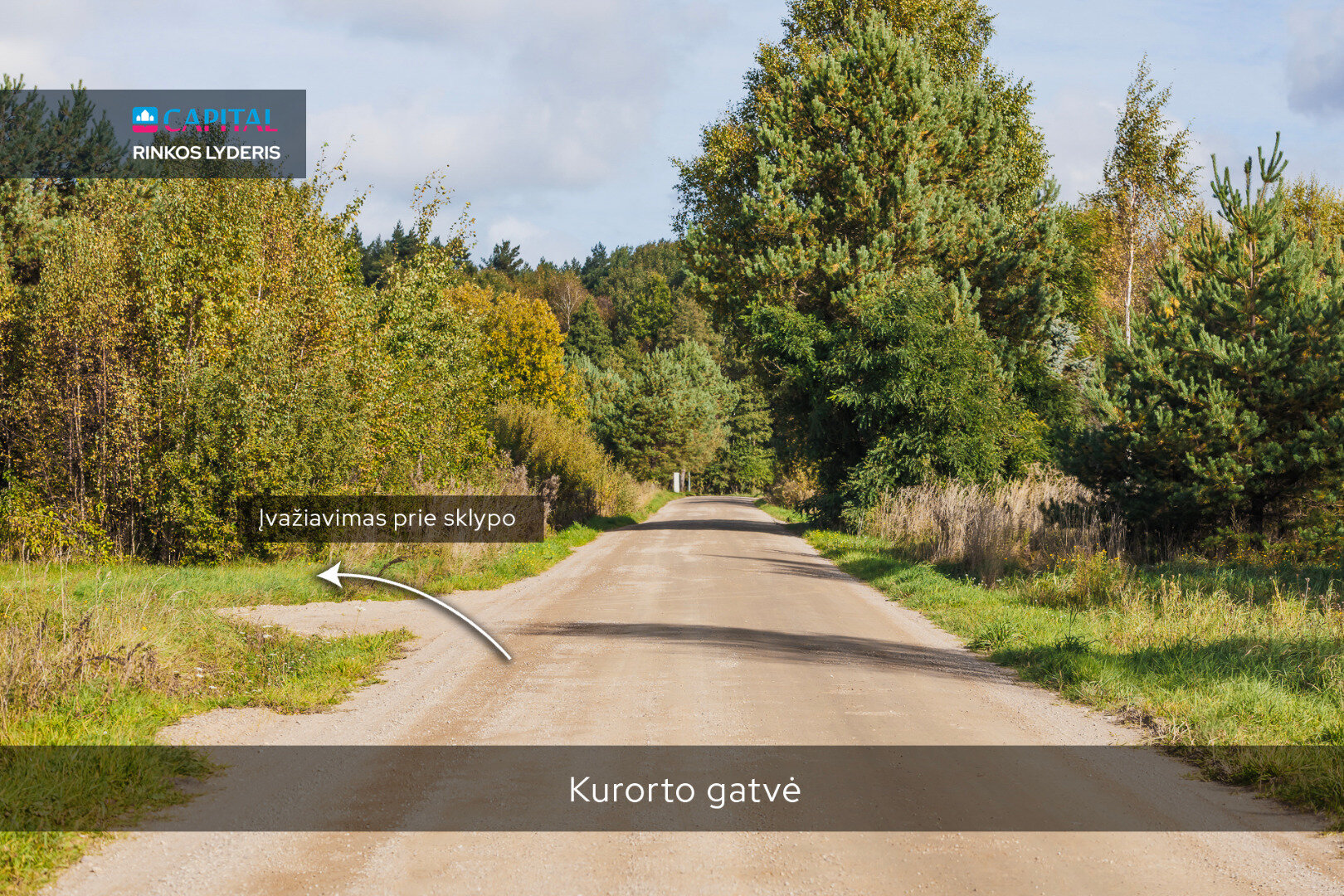 Land Palangoje – image 3