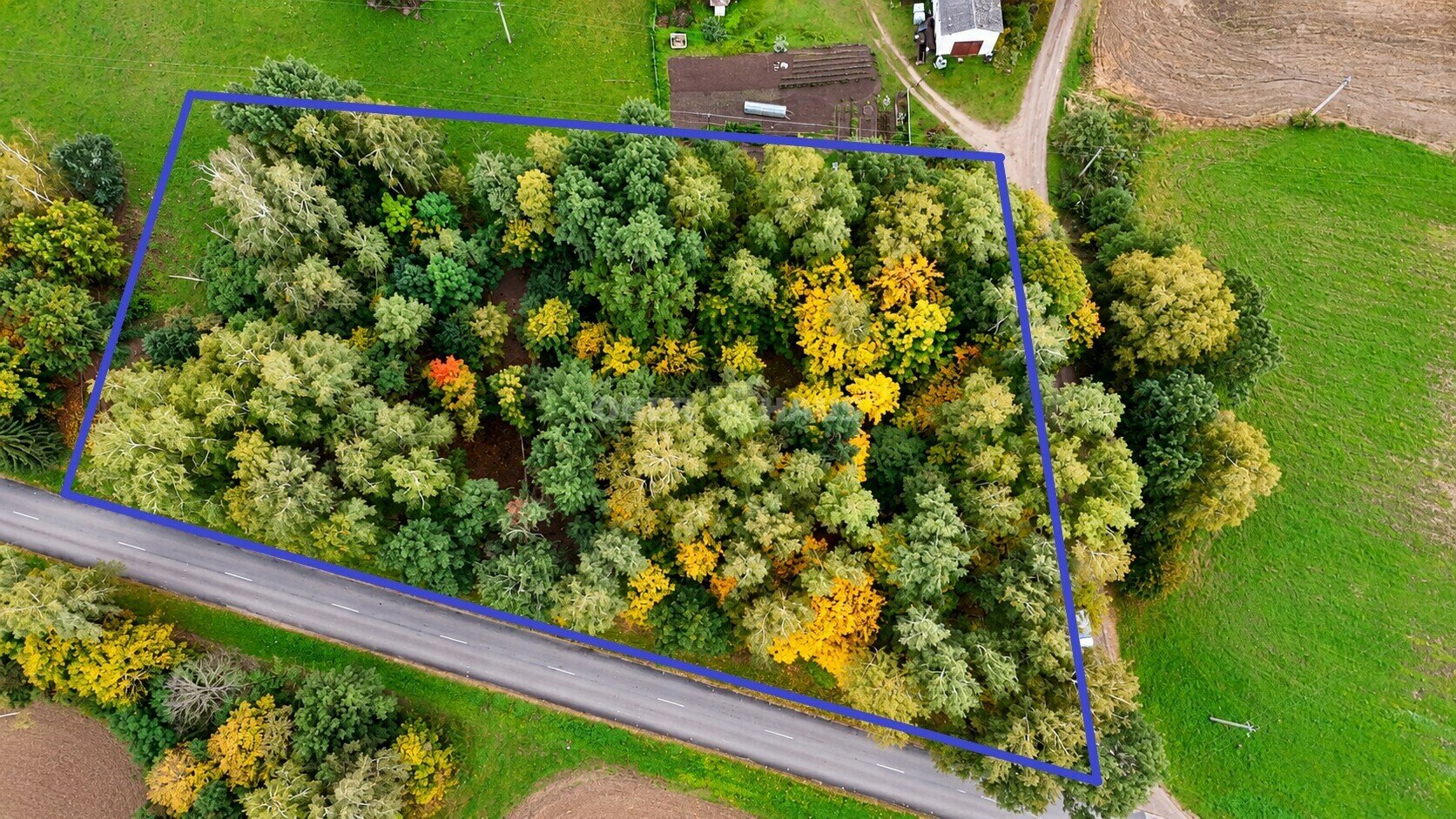 Land Kauno r. sav., Viršužiglyje – image 5