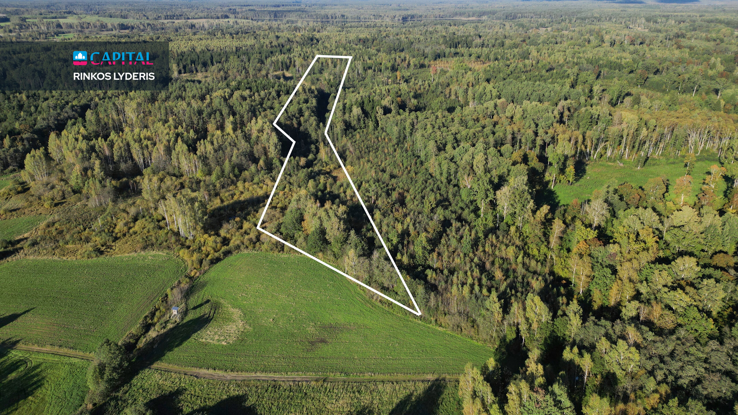Land Vilniaus r. sav., Barzdžiūnuose – image 1