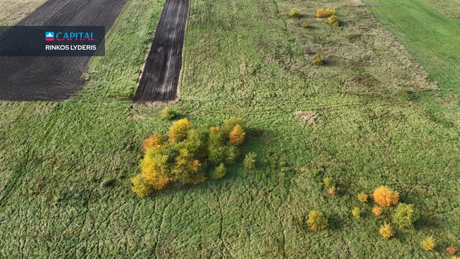 Sklypas Druskininkų sav., Jaskonyse – nuotrauka 3