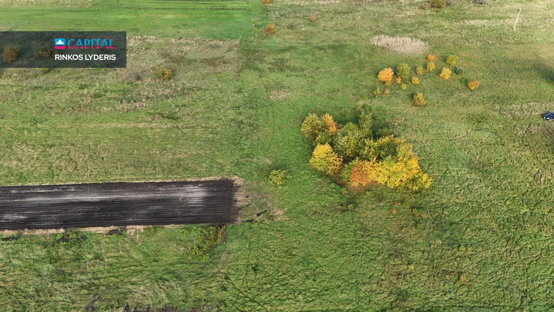Sklypas Druskininkų sav., Jaskonyse – nuotrauka 4
