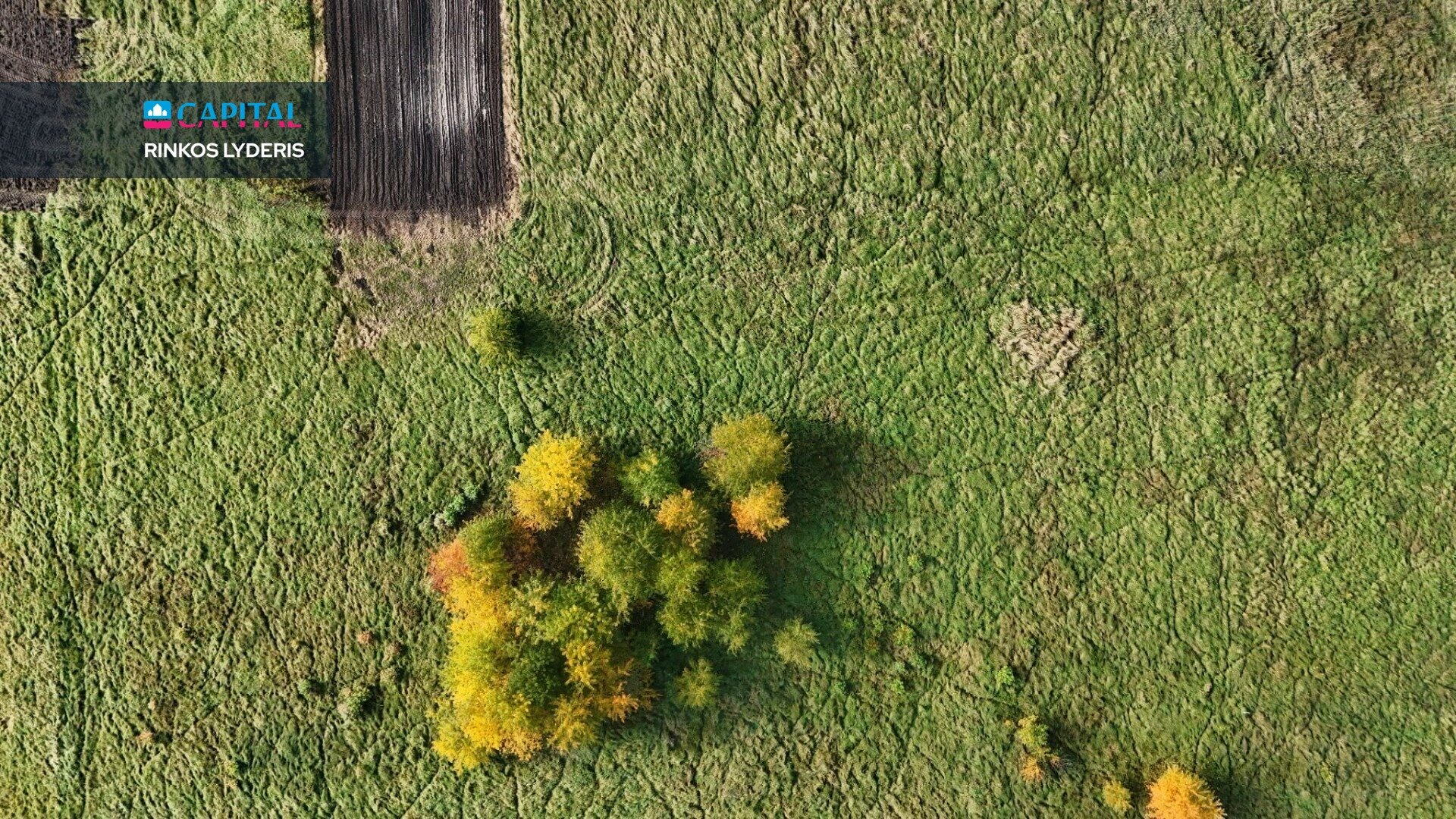 Sklypas Druskininkų sav., Jaskonyse – nuotrauka 6