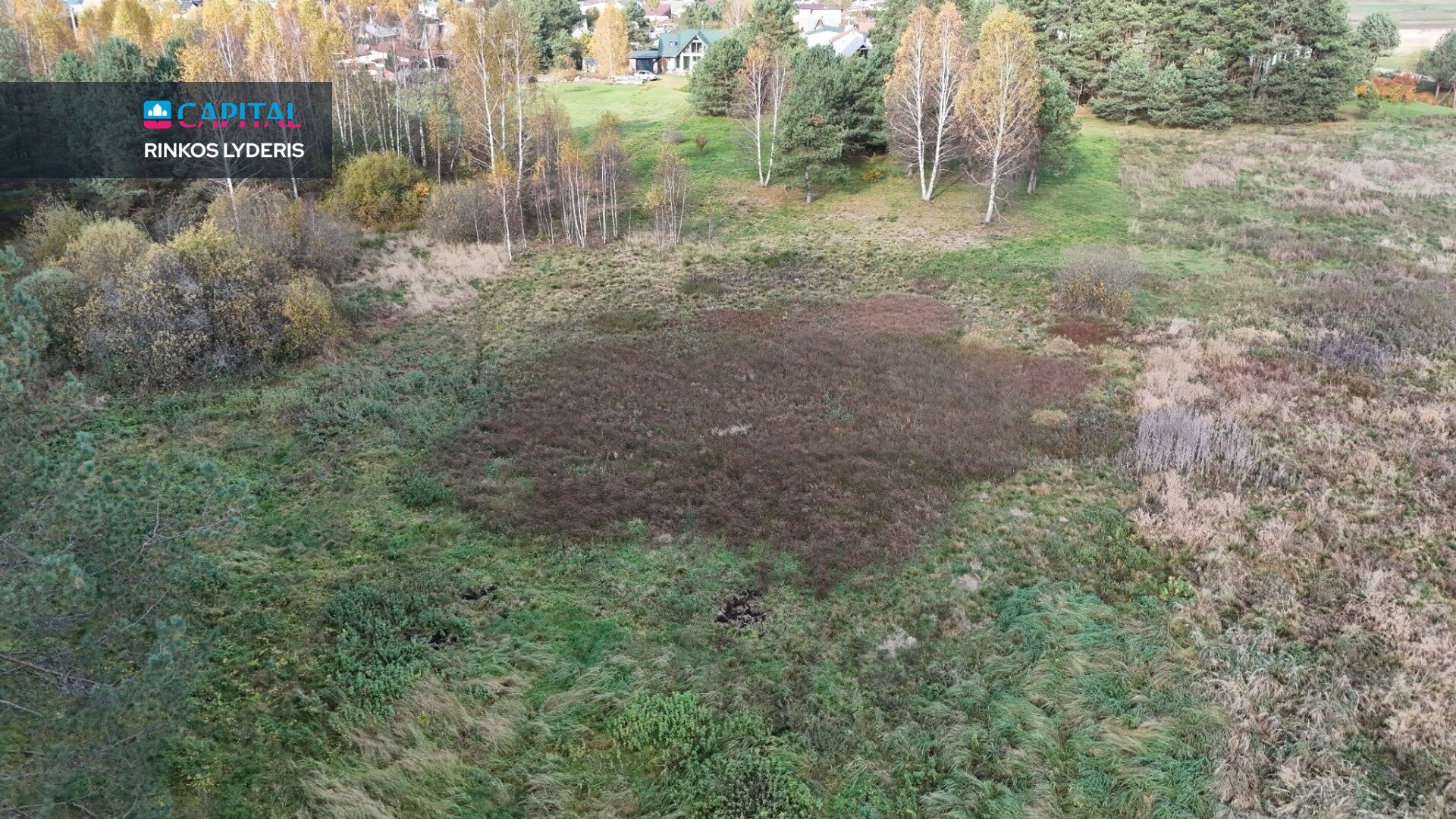 Sklypas Druskininkų sav., Jaskonyse – nuotrauka 1