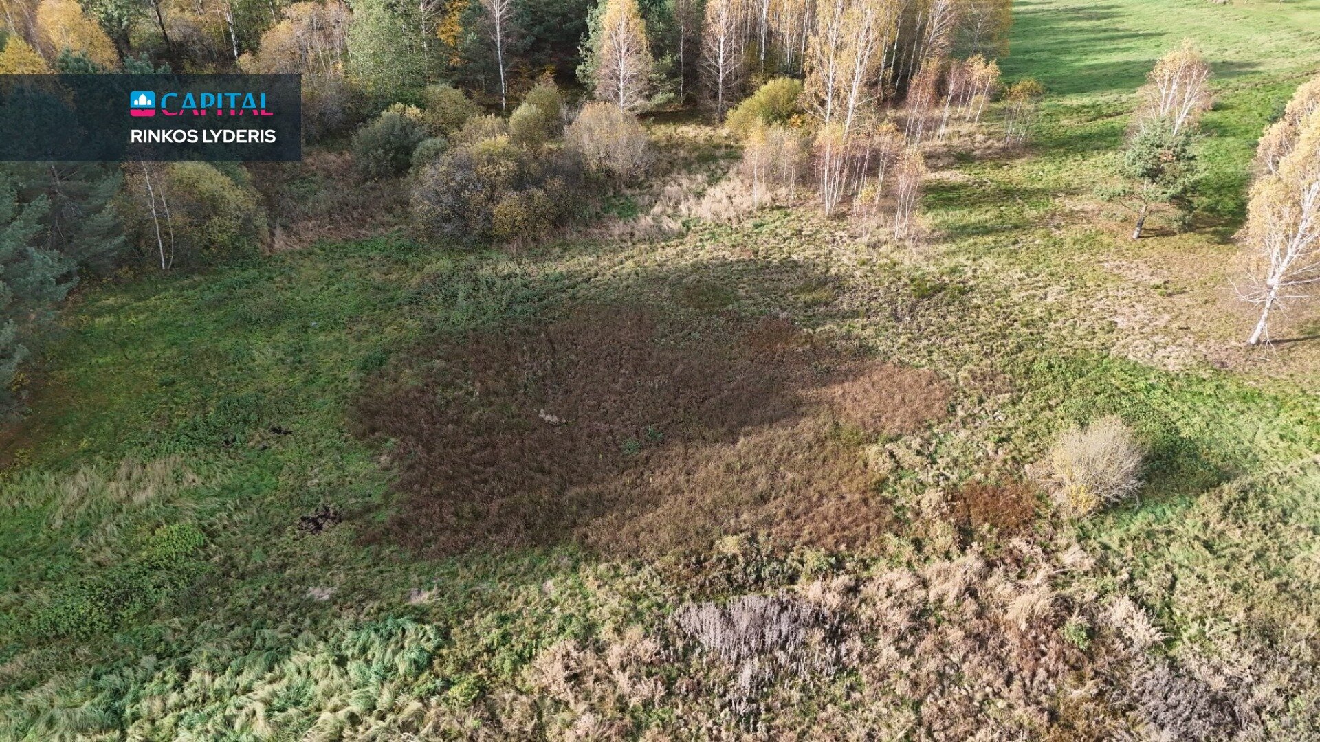 Sklypas Druskininkų sav., Jaskonyse – nuotrauka 3