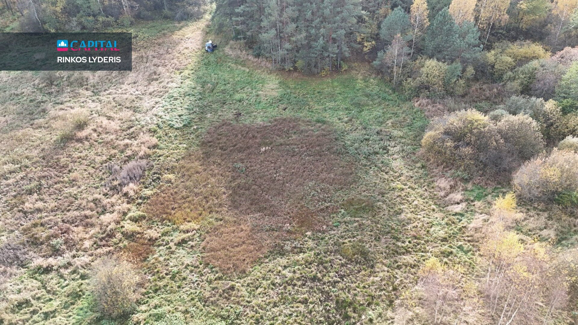 Sklypas Druskininkų sav., Jaskonyse – nuotrauka 4