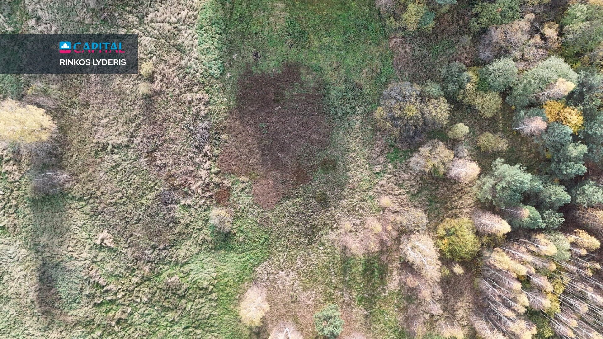 Sklypas Druskininkų sav., Jaskonyse – nuotrauka 5
