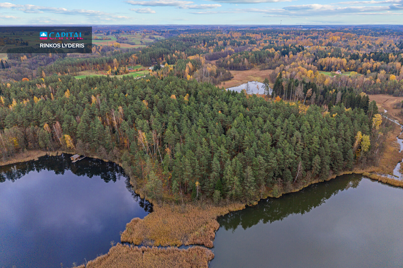 Land Molėtų r. sav., Molėtuose – image 4