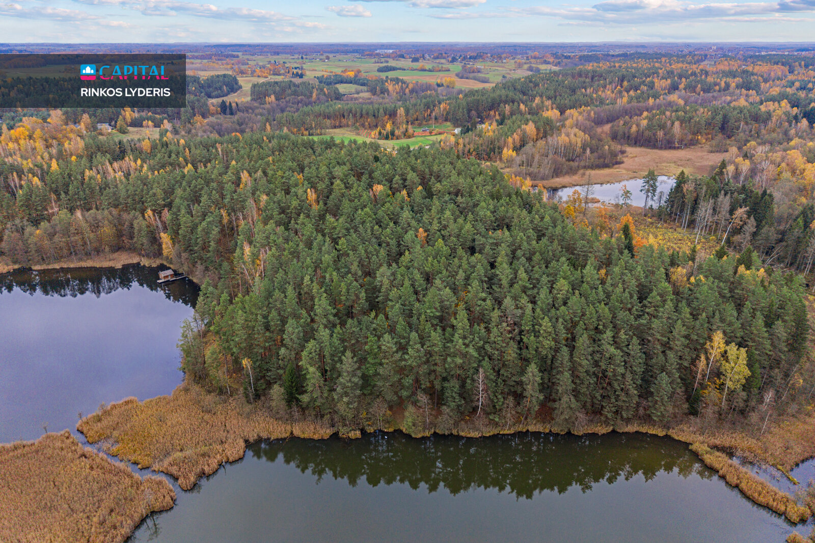 Land Molėtų r. sav., Molėtuose – image 5