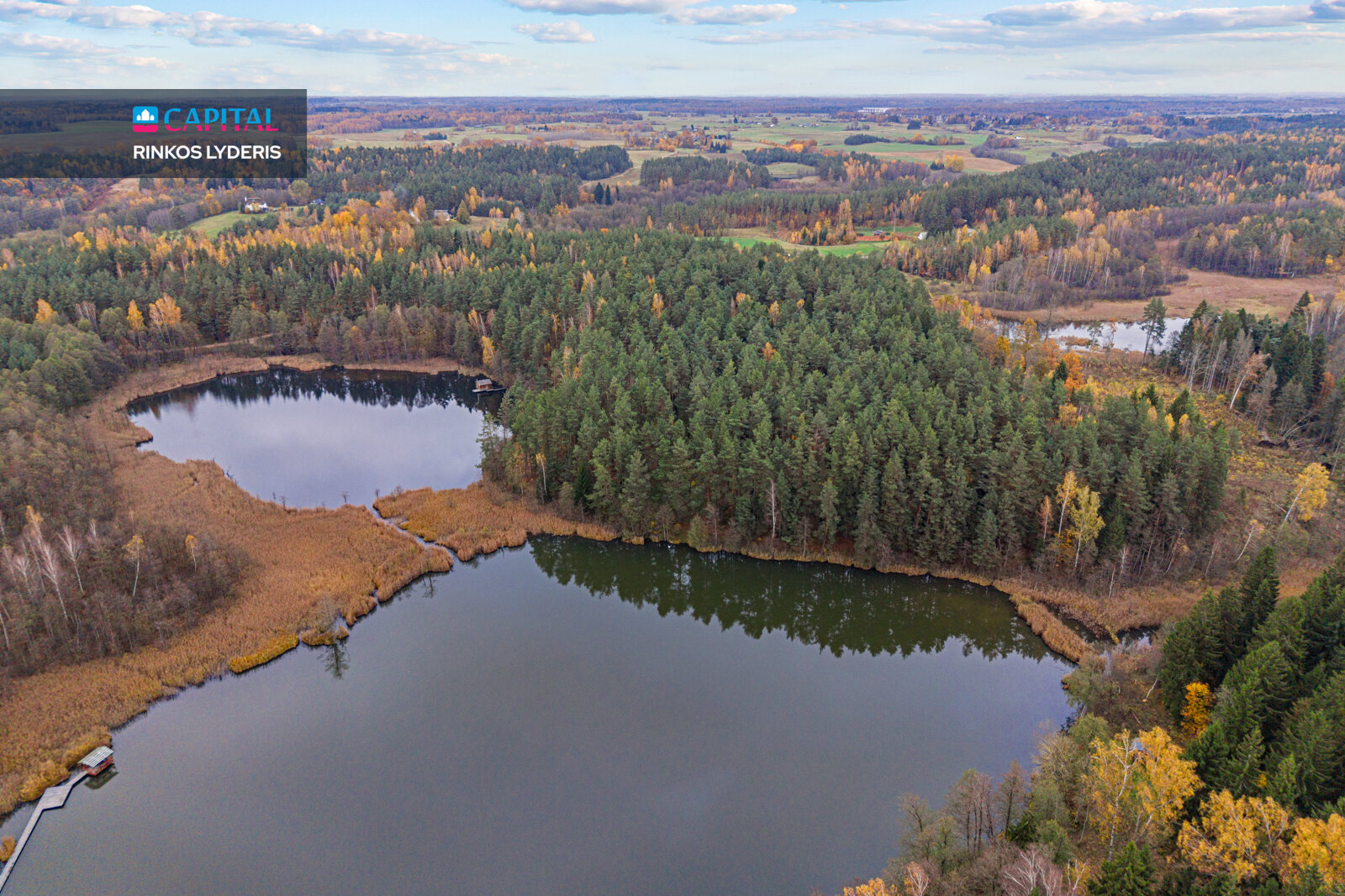 Land Molėtų r. sav., Molėtuose – image 6