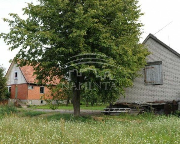 Sodyba Šilutės rajono sav., Vilkyčiuose – nuotrauka 3