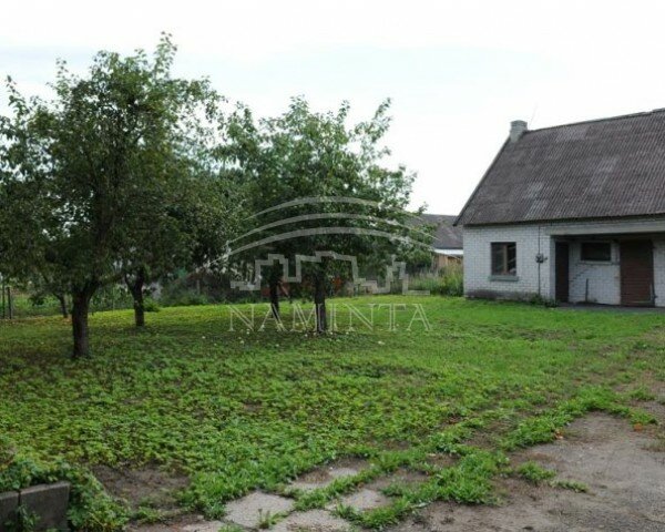 Sodyba Šilutės rajono sav., Vilkyčiuose – nuotrauka 4