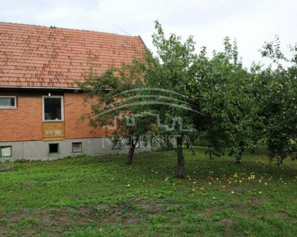 Sodyba Šilutės rajono sav., Vilkyčiuose – nuotrauka 6