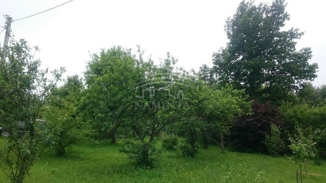 Sodyba Klaipėdos rajono sav., Pikteikiuose – nuotrauka 5