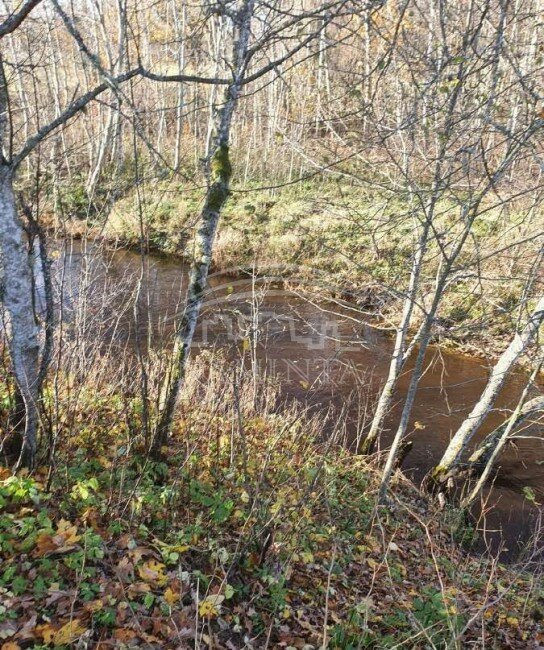 Sodyba Klaipėdos rajono sav., Jurjonuose – nuotrauka 6