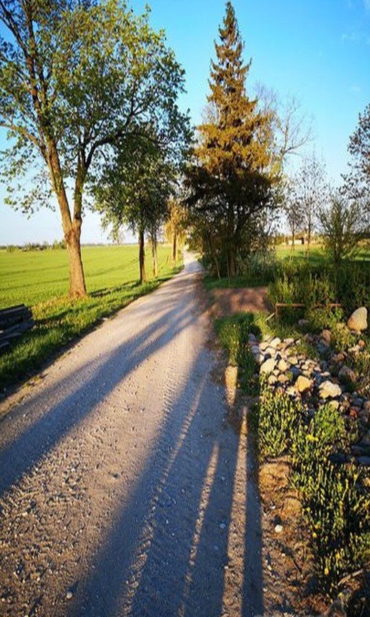 Gyvenamasis namas Radviliškio rajono sav., Šniūraičiuose – nuotrauka 4